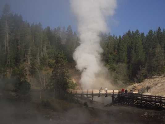 DSCF0567.jpg