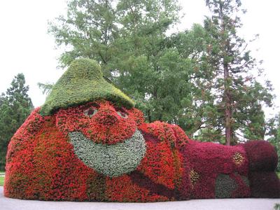 IMG_1317 (Large).jpg