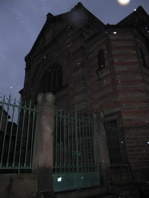 IMG_5632 (Large).JPG