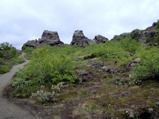 IMG_8371.jpg