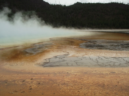 DSCF0897.jpg