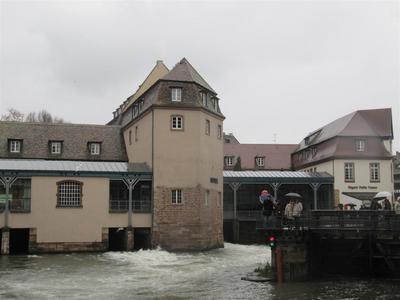 IMG_6104 (Large).JPG