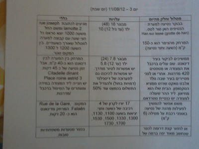 דיננט