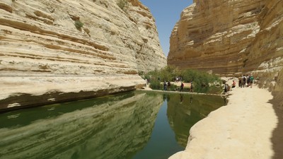 IMG_0394 (Large).JPG
