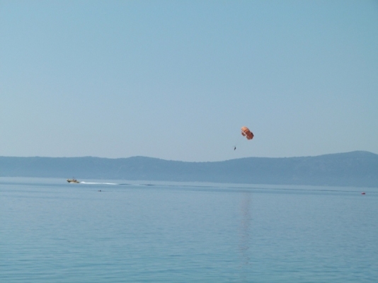 P1110034 - עותק - עותק.JPG