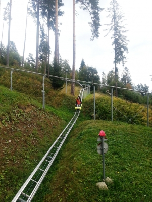 tatra bob