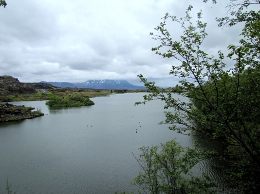 IMG_8379.jpg