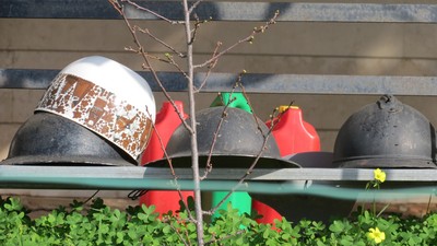 IMG_0257 (Large).JPG