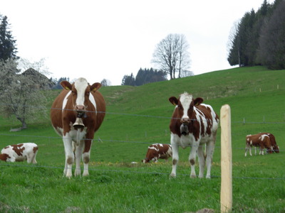 DSCN0951.JPG