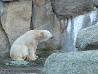 Zoologicher Garten