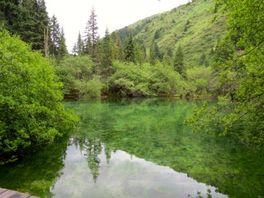 IMG_3968.JPG