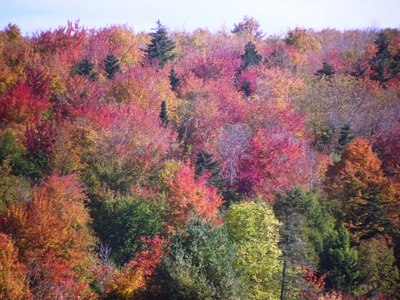 DSCF0585.JPG