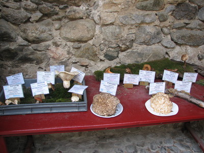 Villefranche-de-conflent39.JPG
