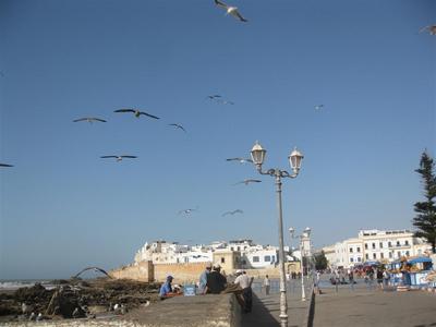 מבט על אסווירה מהרציף