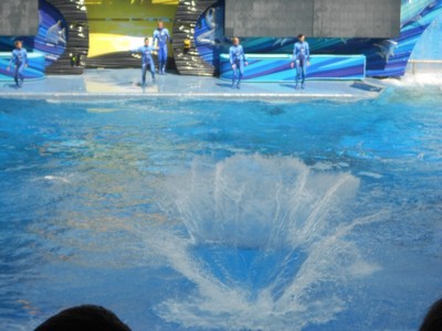 DSCN0293