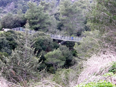 PC300866 (Large).JPG