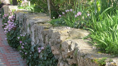 IMG_0168 (Large).JPG
