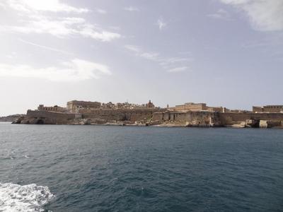 HarborCruse3.jpg