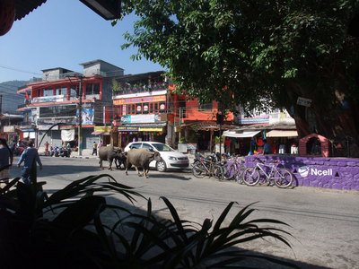 DSCF6942.jpg