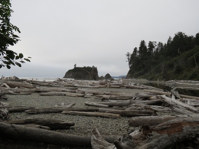 image037.jpg