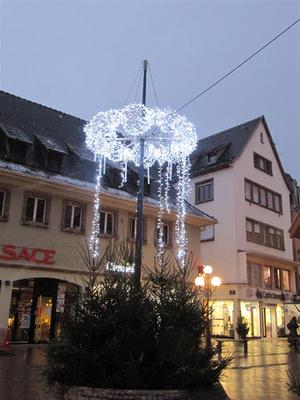 IMG_5630 (Large).JPG
