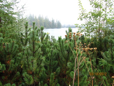 Strbske Pleso