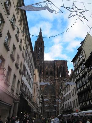 IMG_6123 (Large).JPG