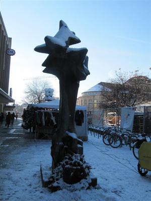 IMG_5700 (Large).JPG