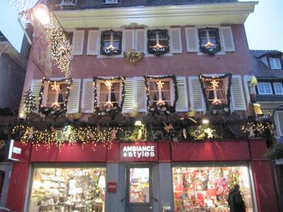 IMG_5626 (Large).JPG