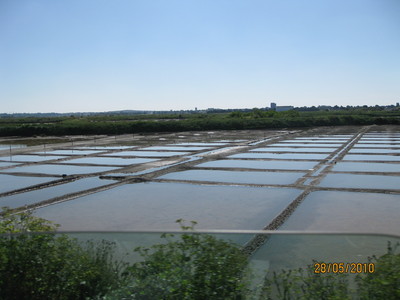 shina 111.jpg
