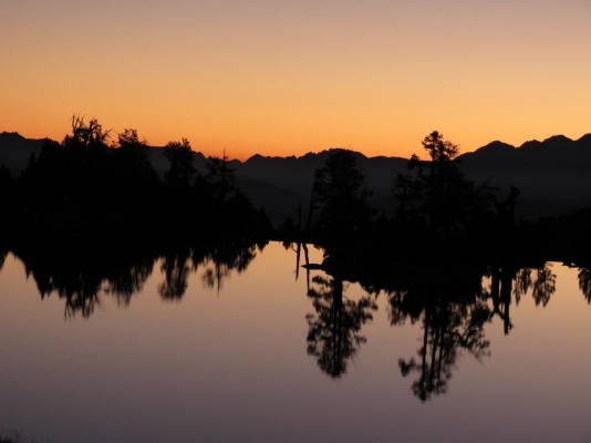 Estany Tort de Peguera