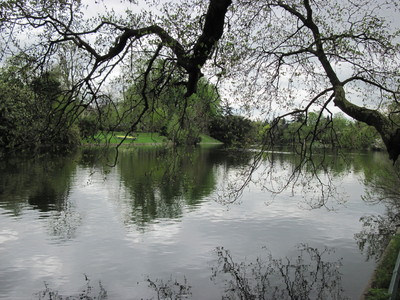 IMG_2855.JPG