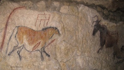 IMG_9372.jpg
