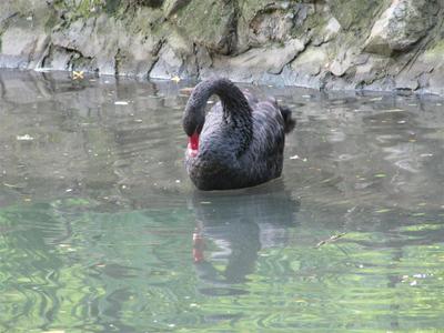 IMG_3584 (Medium).JPG