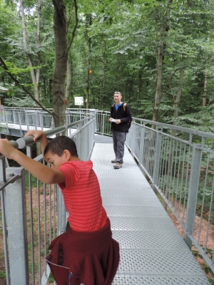 Treetop Trail מסלול טיול בגובה העצים