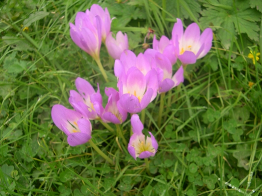 DSCN0139.JPG