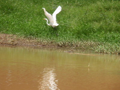 P7230284.JPG
