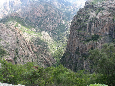 IMG_8020.JPG