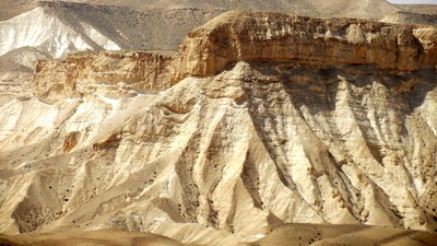 IMG_0676 (Large).JPG