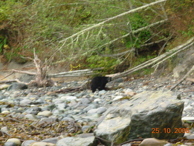DSCN0827.JPG