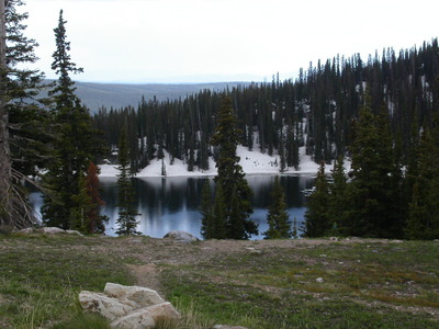 Medicine Bow National Forest