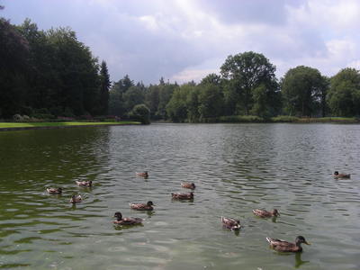 DSCN5131.JPG