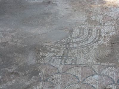 רצפת בית הכנסת בסראנדה