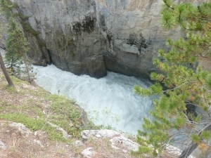 Sunawapta falls