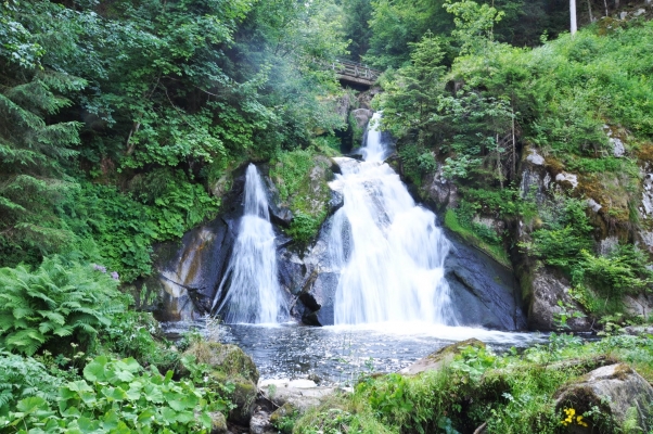 DSC_0616.JPG
