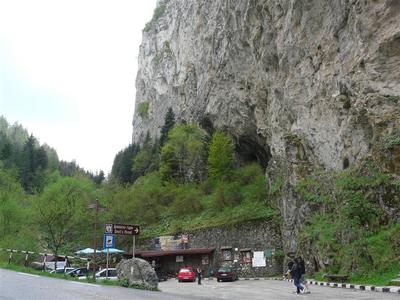 P1020742 (Medium).JPG