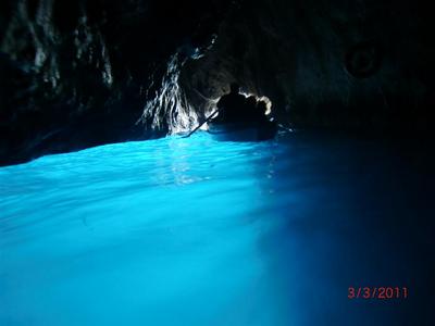 CIMG3946 (Large).JPG