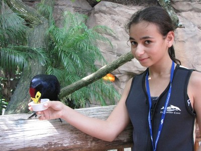 IMG_2437 - האכלת ציפורים