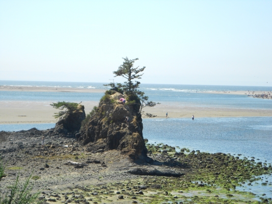 DSCN0543