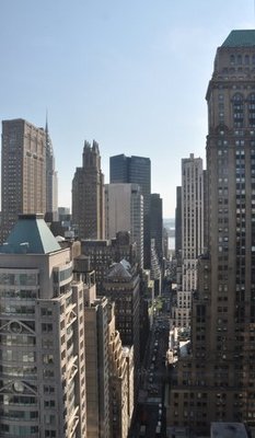 DSC_1613.JPG